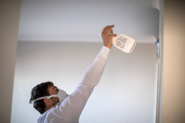 Best Preventive Mold Services in Twisp, WA