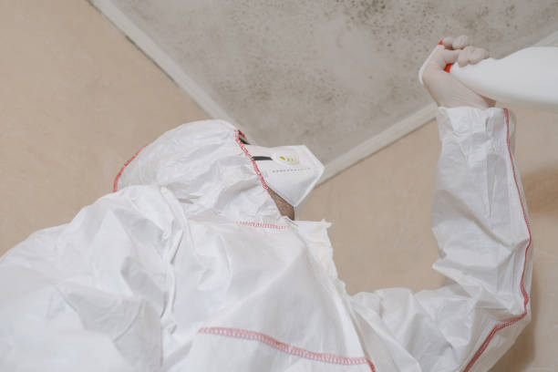 Best Mold Remediation for Specific Building Types in Twisp, WA