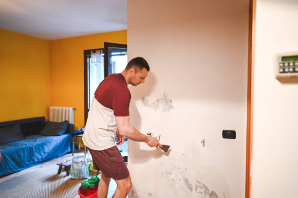 Best Industrial Mold Remediation in Twisp, WA